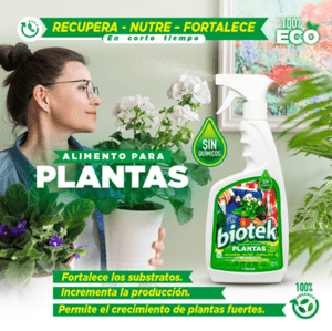 BIOTEK ALIMENTO PARA PLANTAS